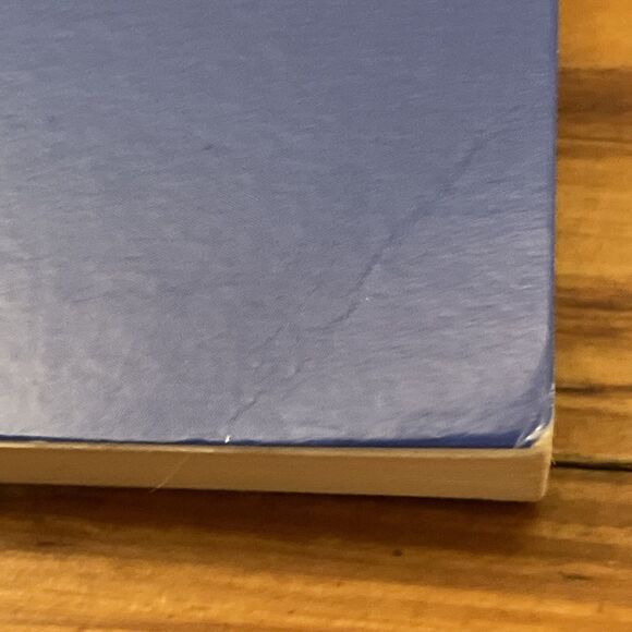 The Neurotic's Guide to Avoiding Enlightenment by Chris Niebauer Ph.D. 2014 - Picture 11 of 13